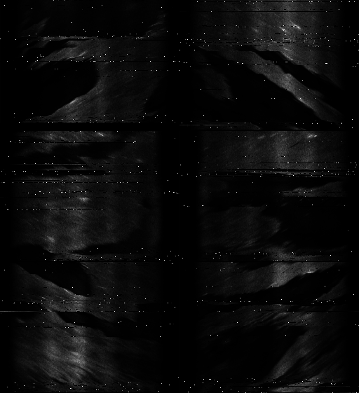 ASCAT-ALL.png